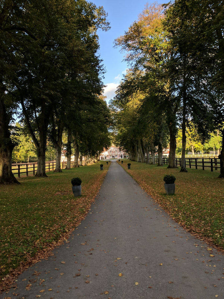 Dieppe to Gornay-en-Bray alley to the castle