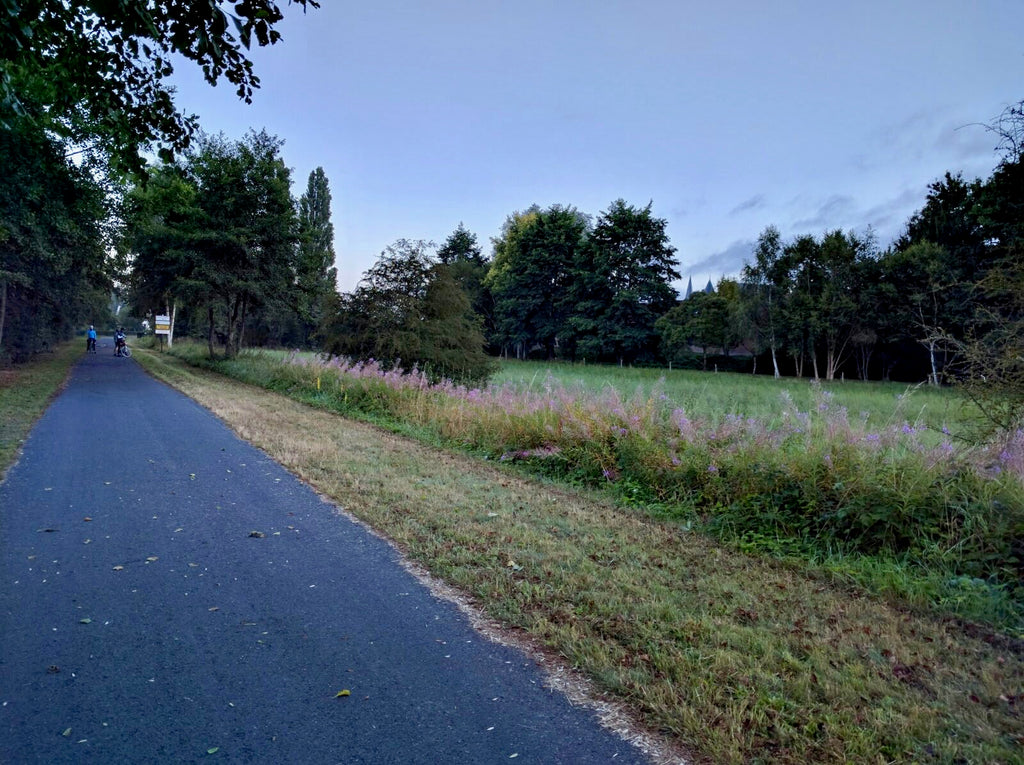 Ultimate Trip Runner-up: London to Paris cycling near a field of flowers