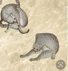 cats licking butts