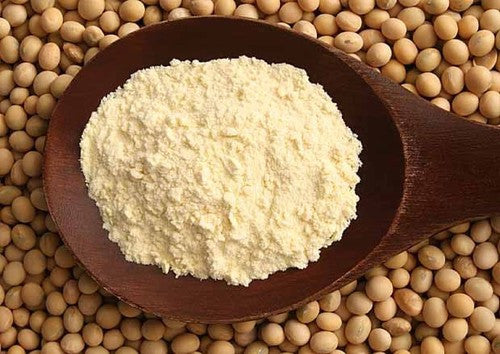 soy protein supplements