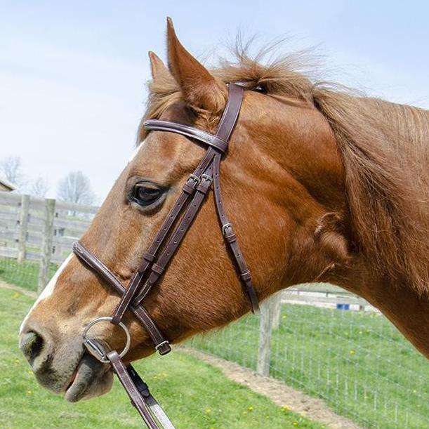 english bridle