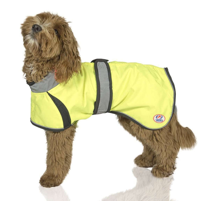 light up dog jacket