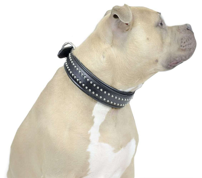 dog collars wholesale usa