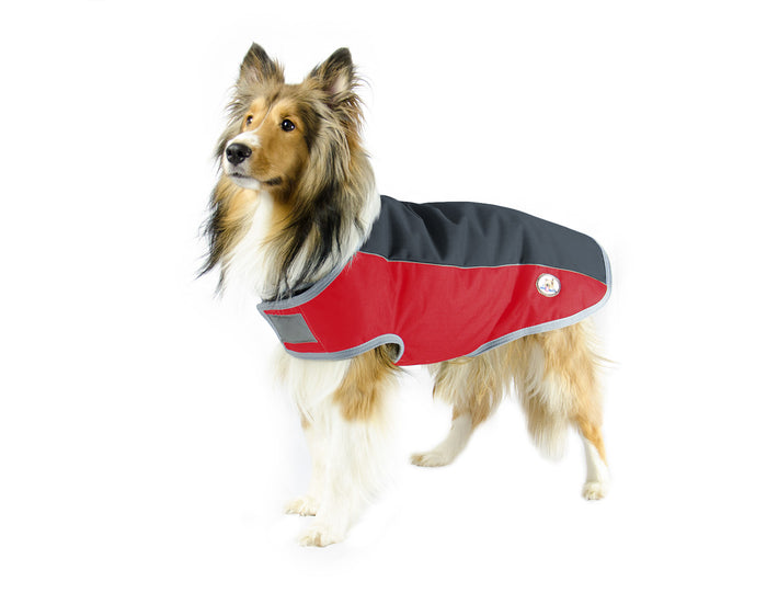 heavy duty blankets for dogs