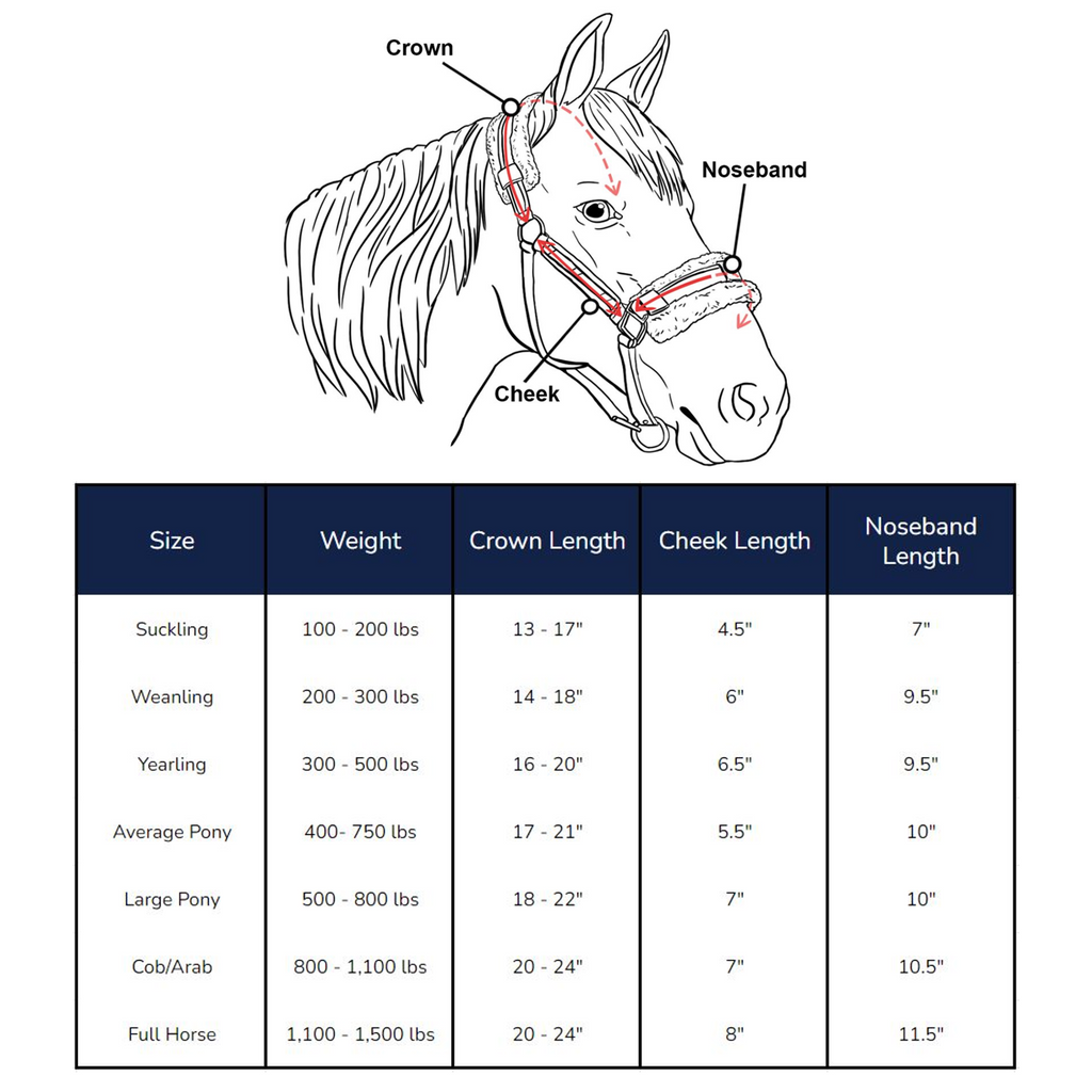 Horse Halter Size Chart | laboratoriomaradona.com.ar