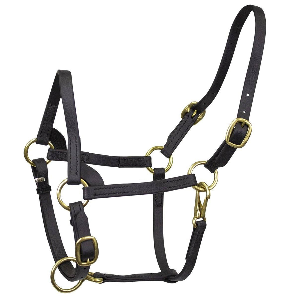 Derby Originals Premium Slimline Flex-Webb Miniature Horse Halters ...