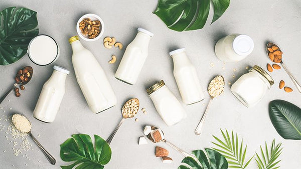 Plant-Based Milk