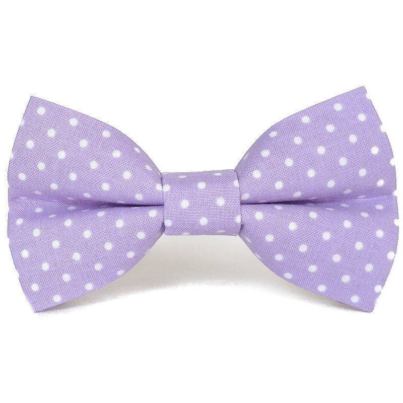 polka dot dog bow tie