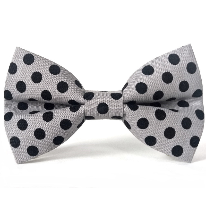 polka dot dog bow tie