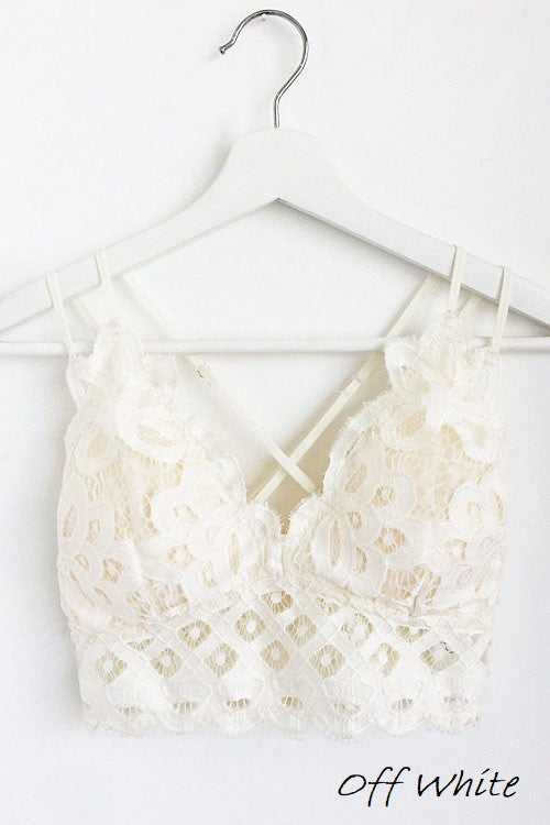 Zara LACE BRALETTE  Halifax Shopping Centre