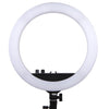 spectrum aurora 14" mini pearl II ring light