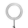 spectrum aurora 19" Gold Luxe II Ring Light