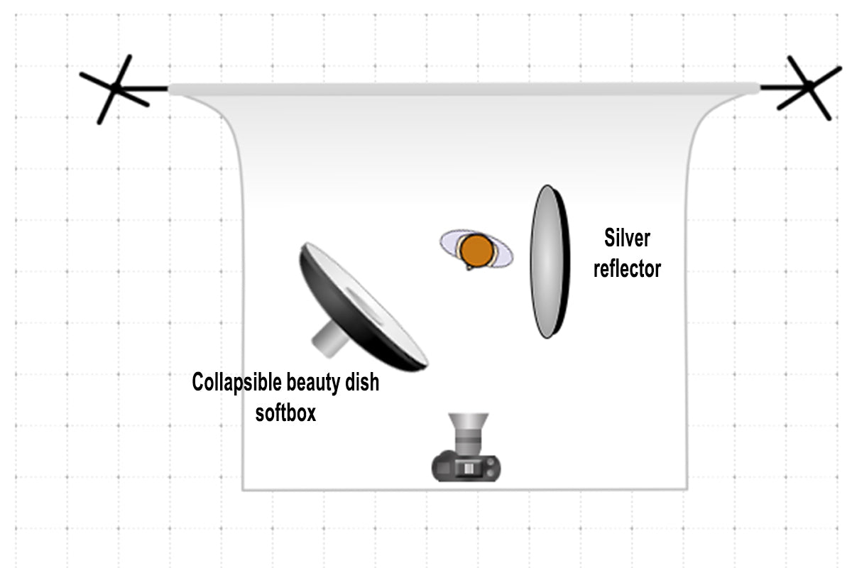 collapsible beauty dish softbox lighting modifier setup