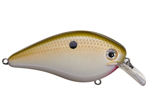 Strike King KVD Magnum Squarebill Crankbait