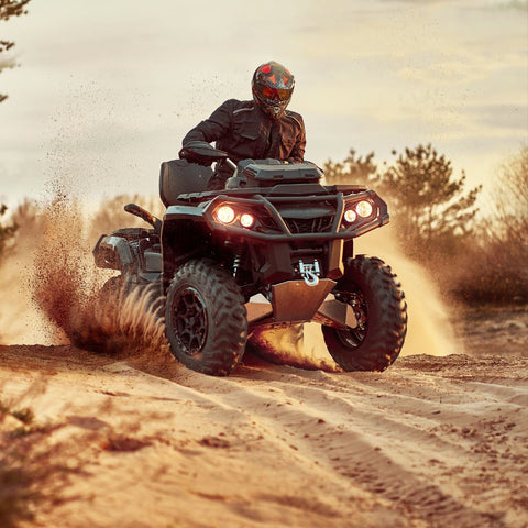Here's How to Go Quad Biking in New Forest National Park