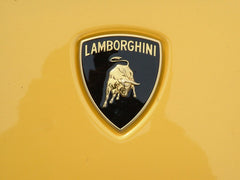 Lamborghini bull's head badge