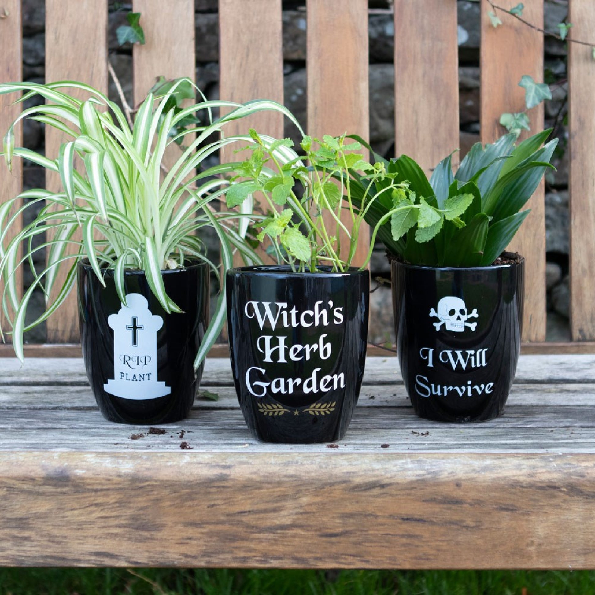 Herb Garden Plant Pot – Realm of the Witch