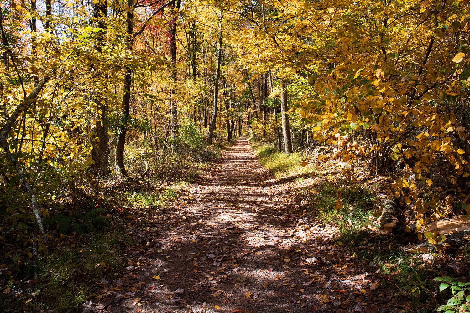 hiking trail