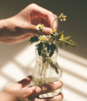 flowers in mason jar