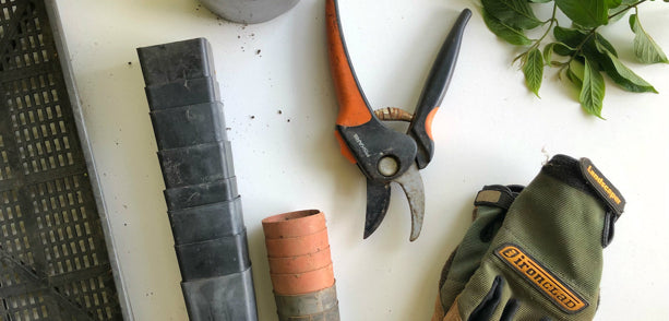 gardening tools