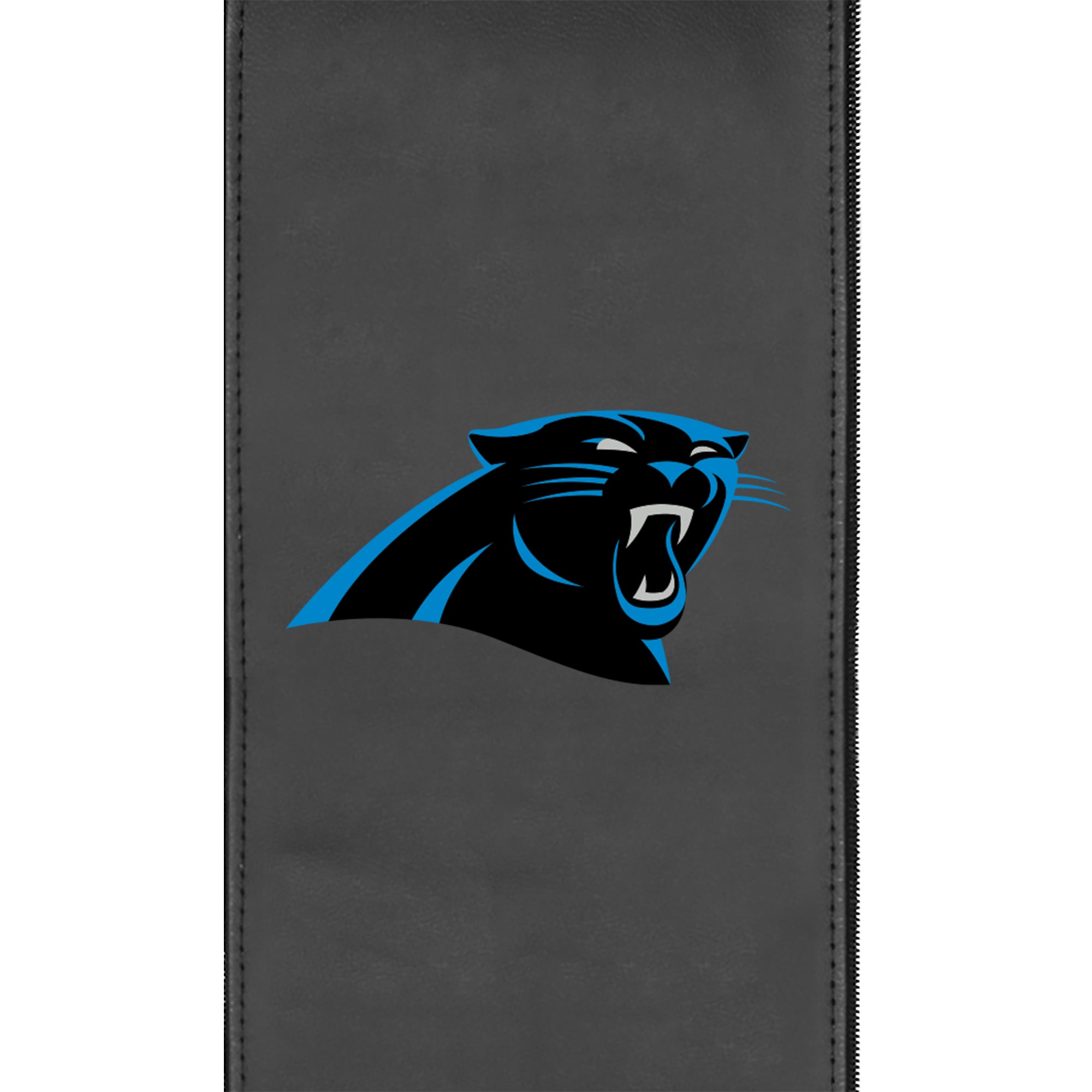 Carolina Panthers  Logo Panel