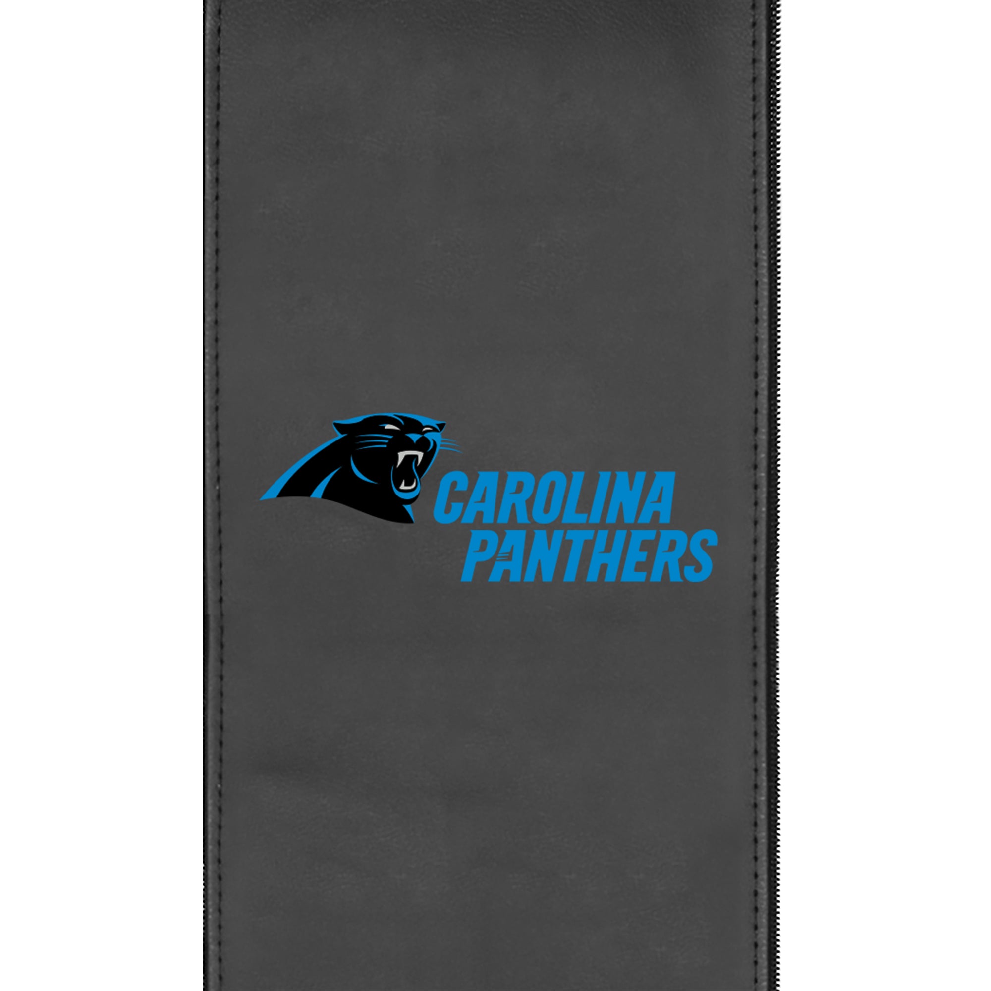 Carolina Panthers  Logo Panel