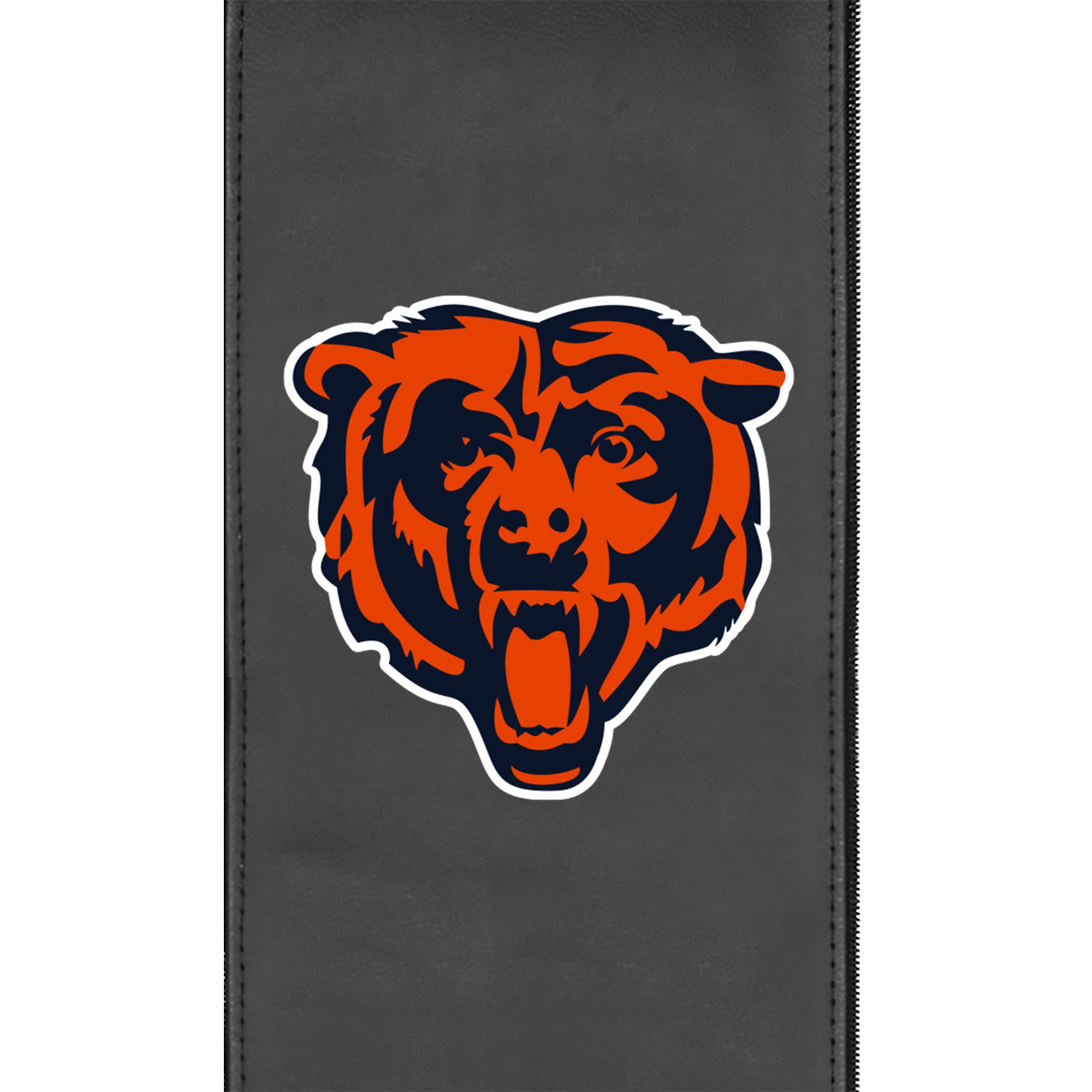 Chicago Bears  Logo Panel 