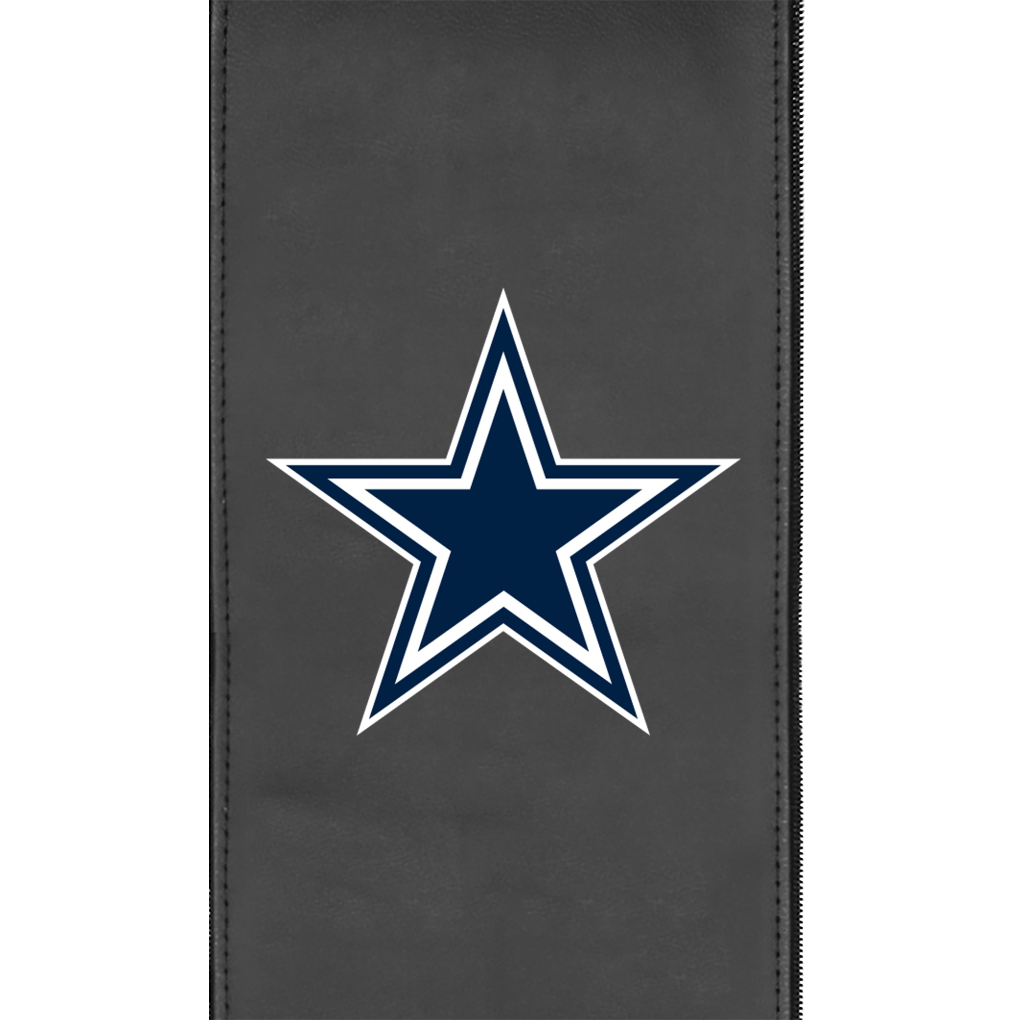 Dallas Cowboys  Logo Panel