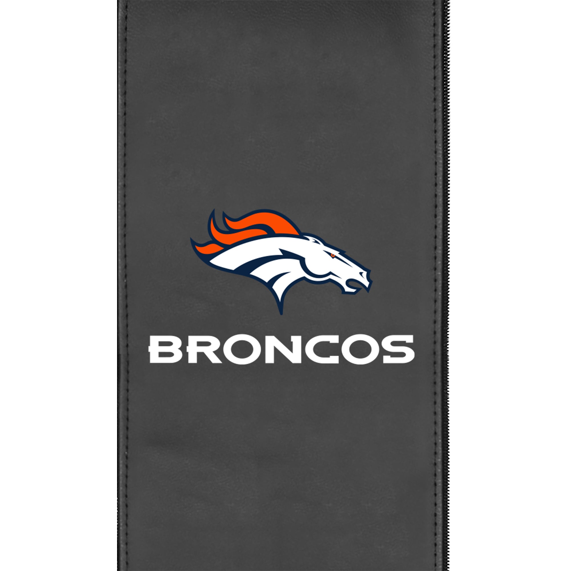 Denver Broncos  Logo Panel