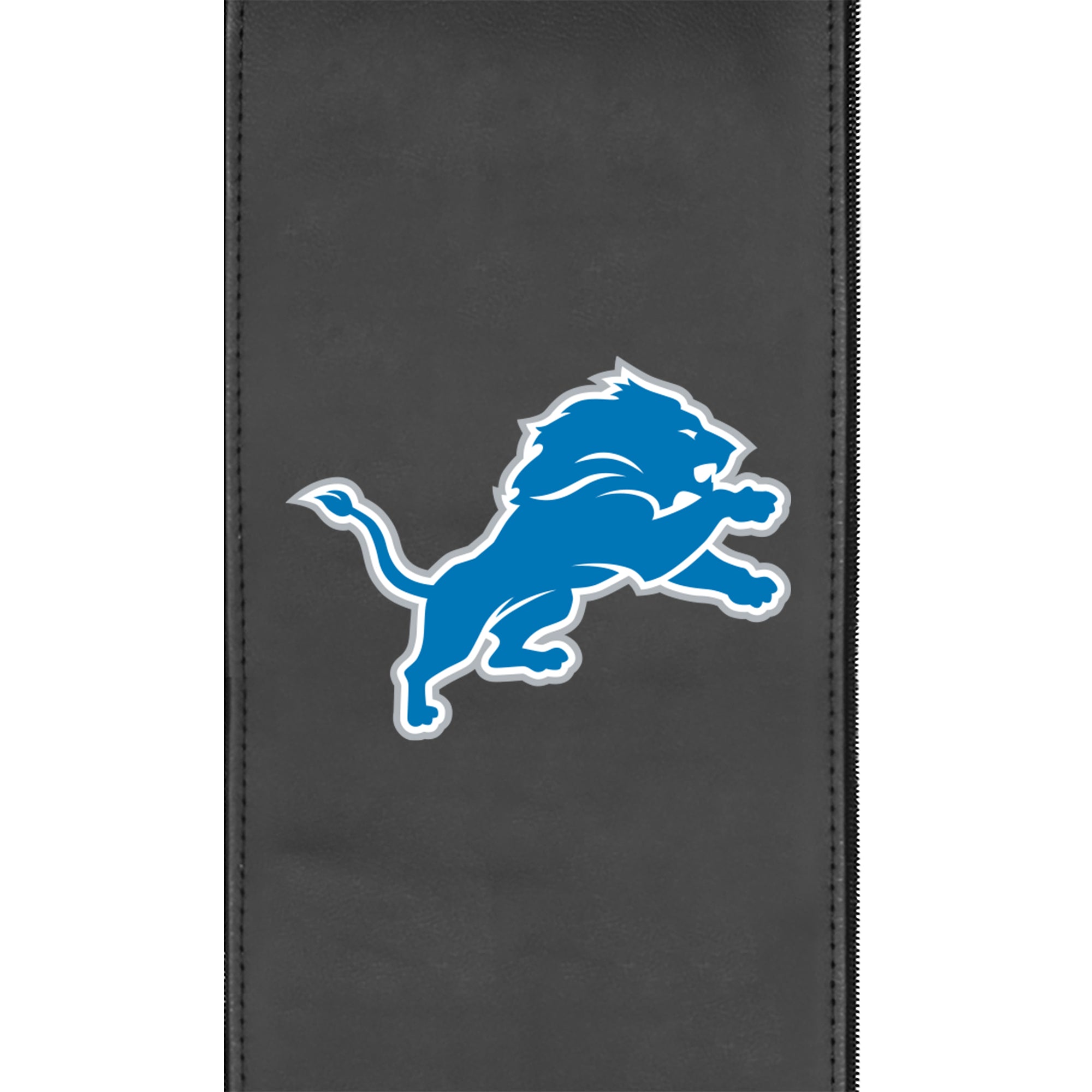 Detroit Lions  Logo Panel