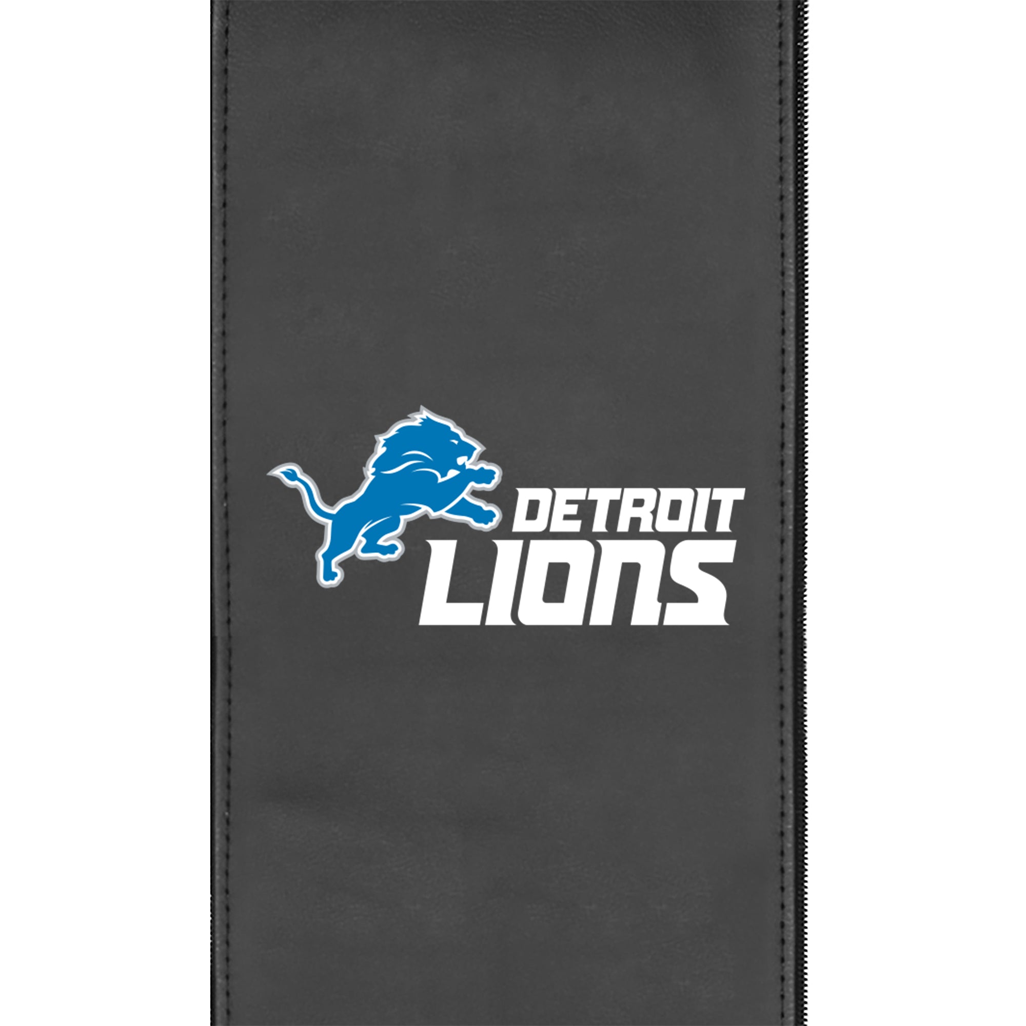 Detroit Lions  Logo Panel