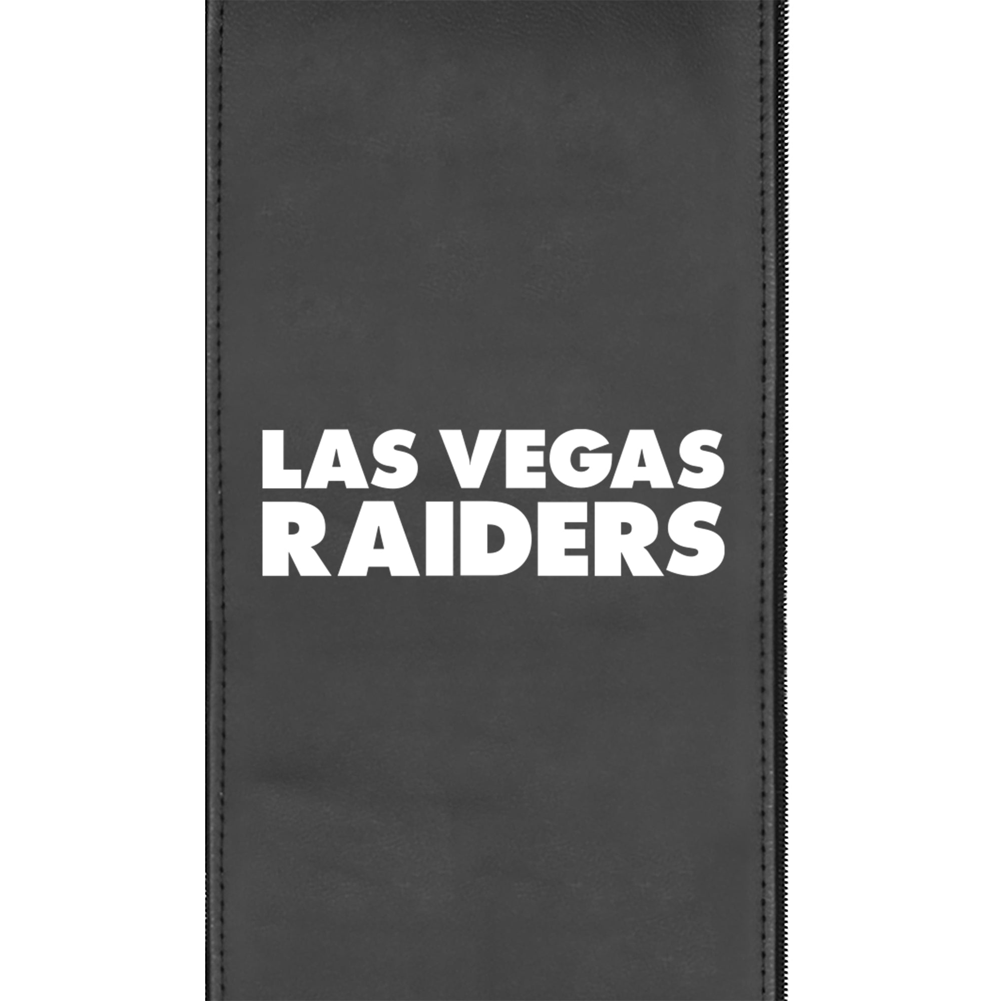 Las Vegas Raiders  Logo Panel