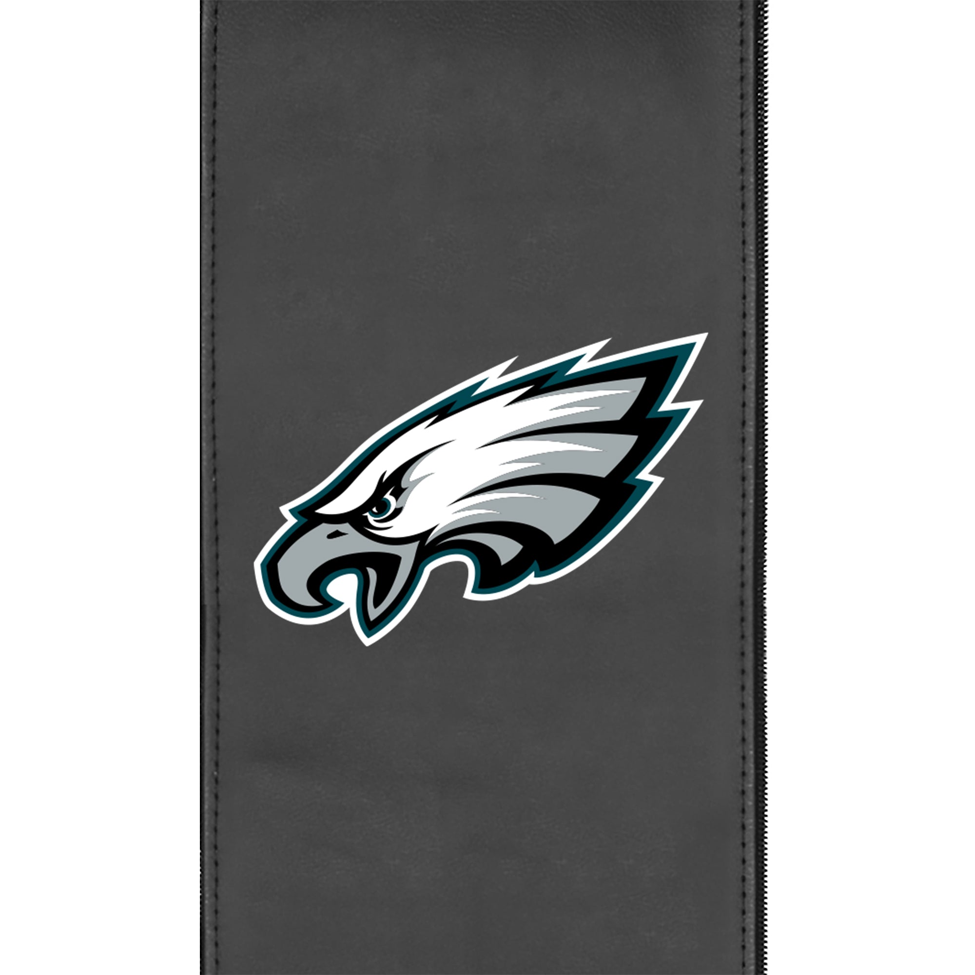 Philadelphia Eagles  Logo Panel