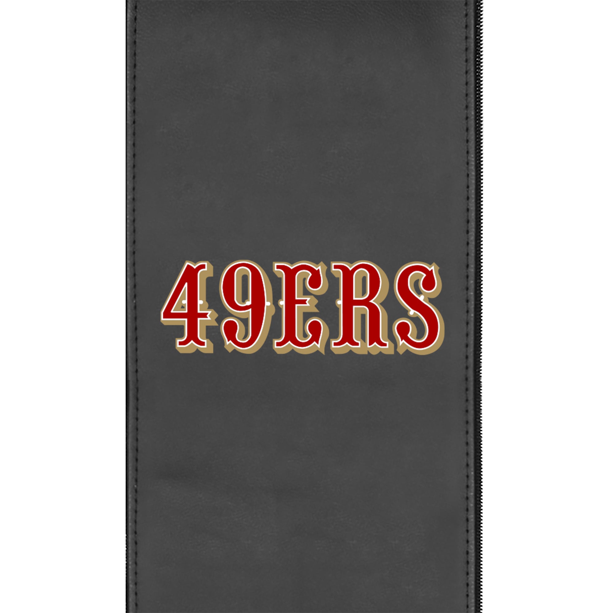 San Francisco 49ers  Logo Panel