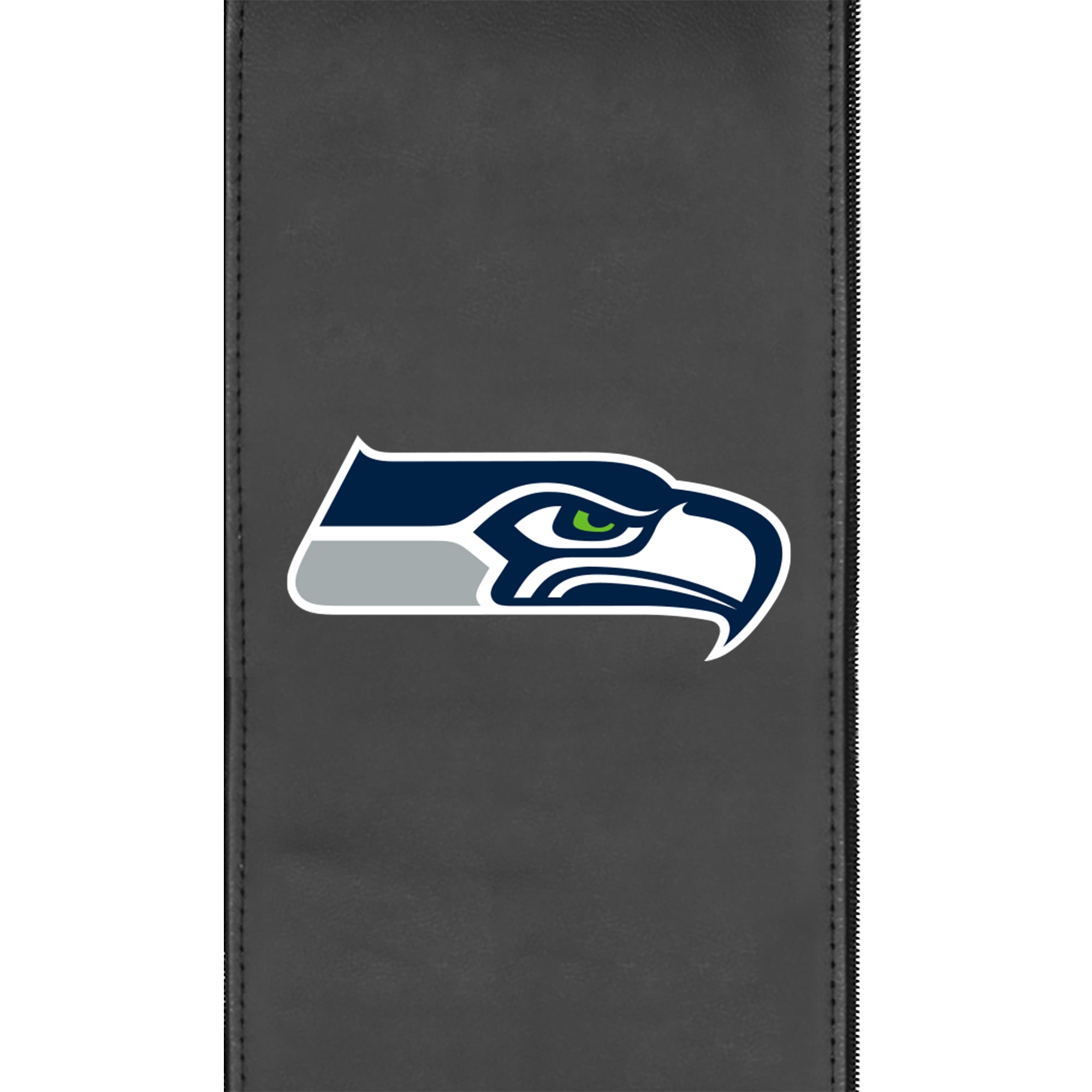 Seattle Seahawks  Logo Panel