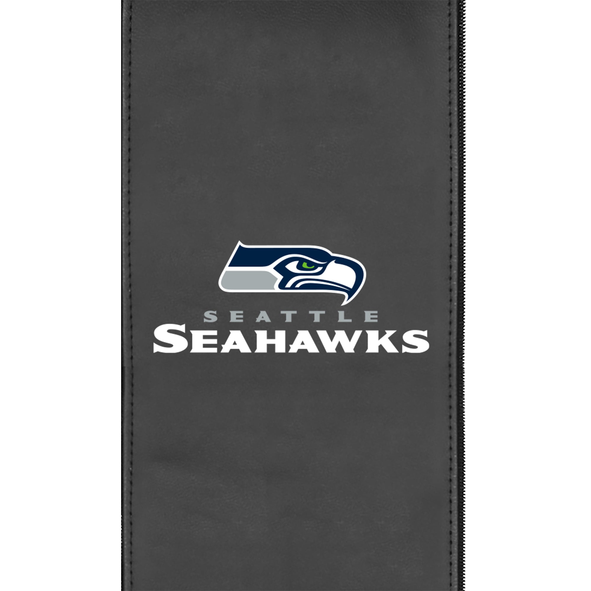 Seattle Seahawks  Logo Panel