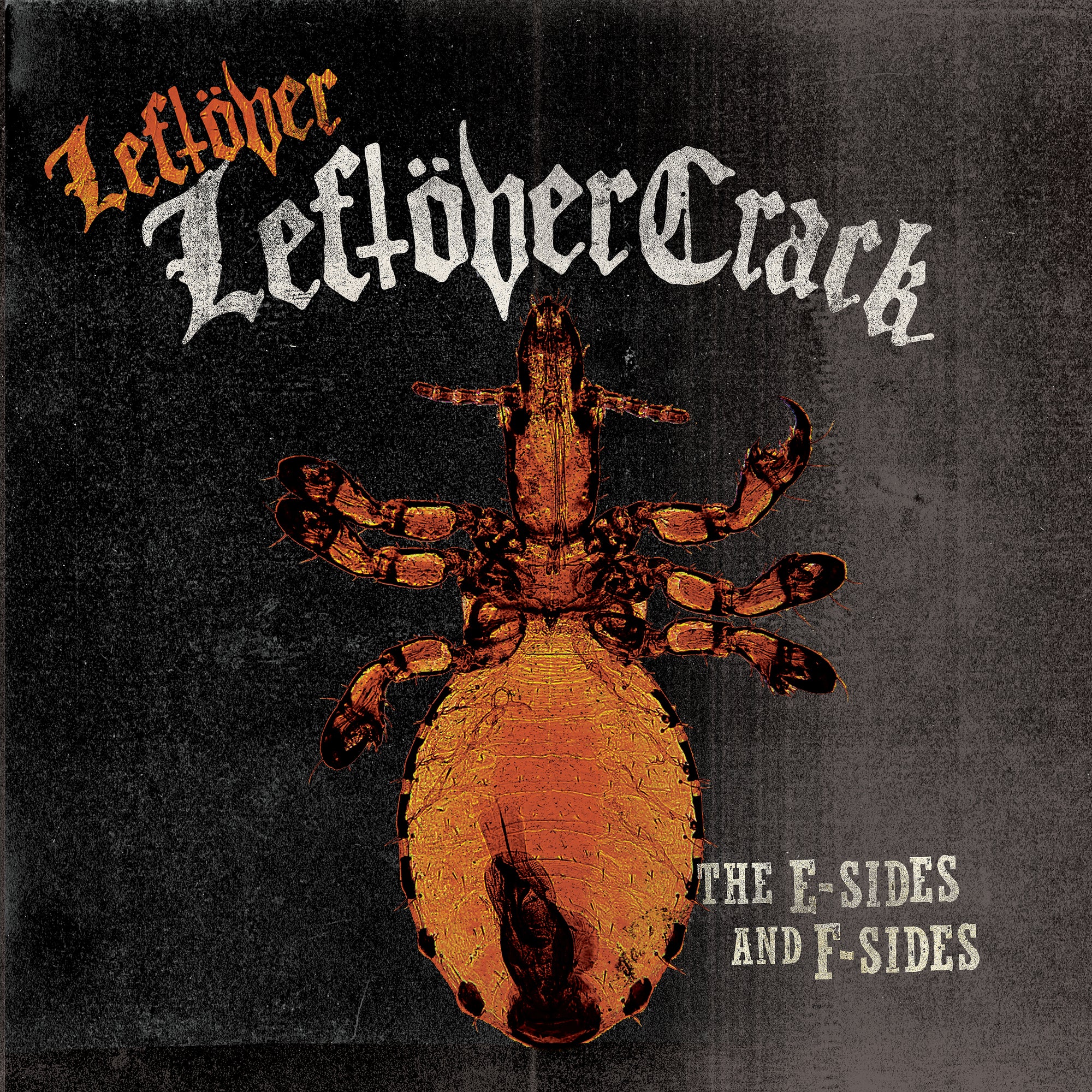 Leftover Leftover Crack The ESides and Fsides Fat Wreck Chords