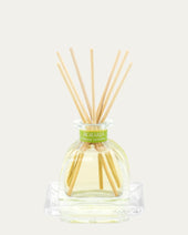 Agraria Petite Essence Diffuser in Lemon Verbena - 1 Each Nav Image 2