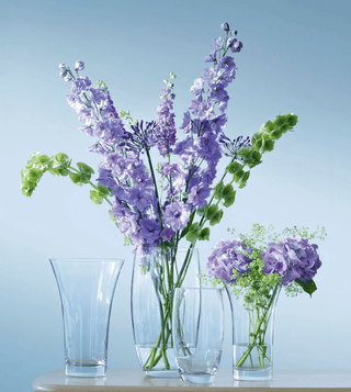 https://cdn.shopify.com/s/files/1/1901/3435/products/15437-lsa-glassware-flared-bouquet-vase-29693962715271.png?v=1692879132&width=320
