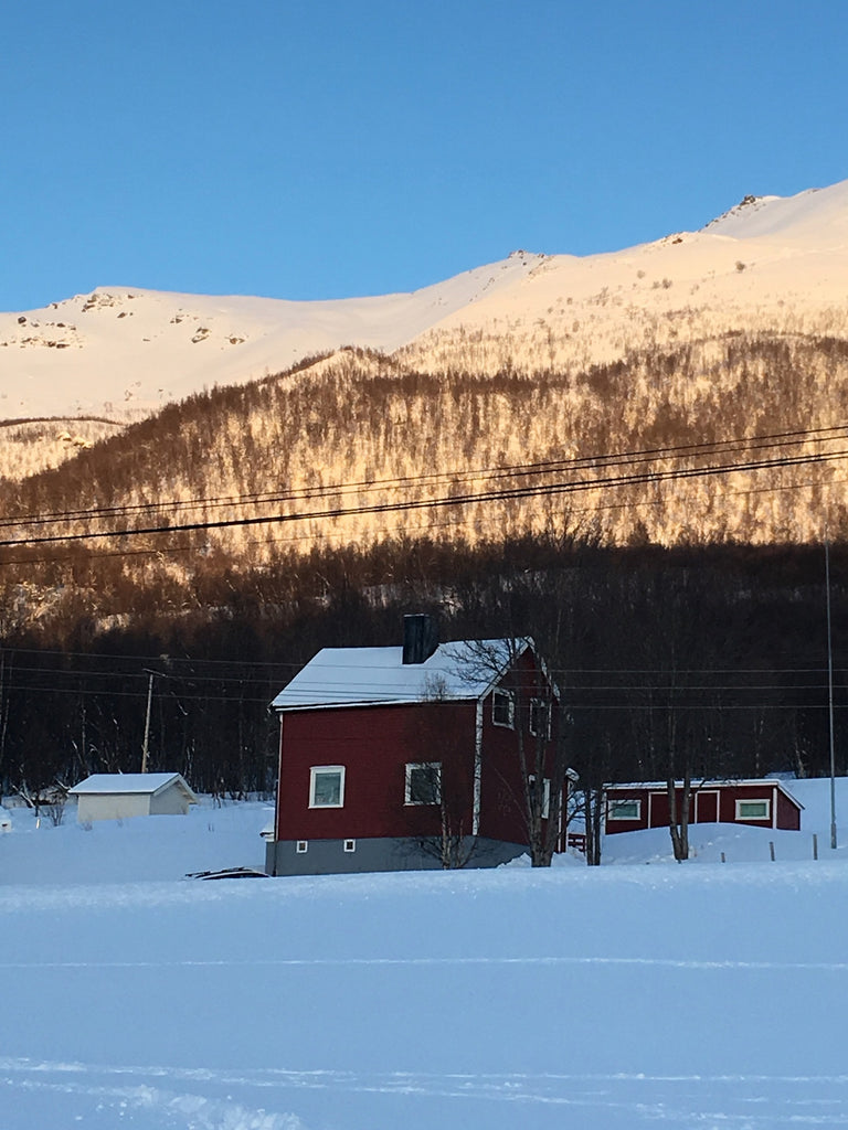 Ski Touring and Splitboarding in Lyngen | Backcountry Books