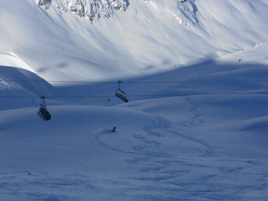 Zuers Powder | Backcountry Books