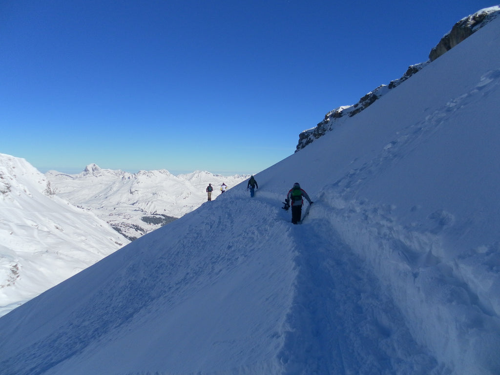 Zuers Powder | Backcountry Books