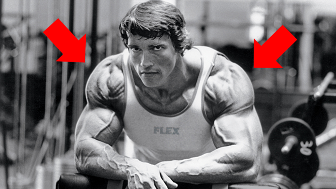 How Arnold Trained Shoulders - Untapped Supplement