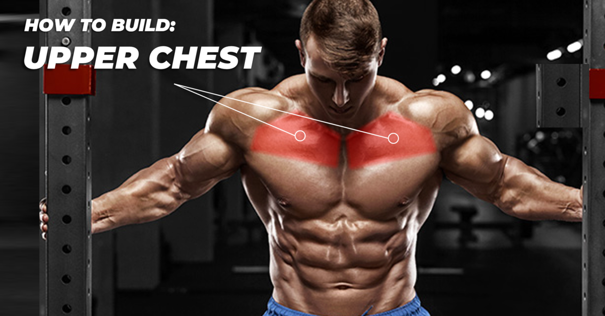 the-ultimate-upper-chest-exercise-untapped-supplement