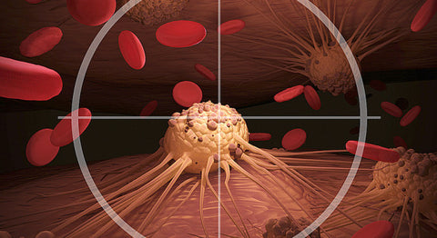 Intermittent fasting triggers autophagy