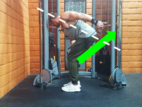 Lat Lever hits the range of motion that emphasizes the lower lats
