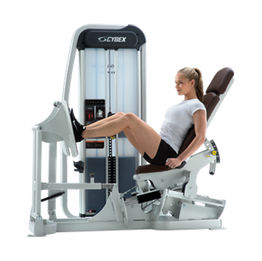 what is the selectorized leg press good for
