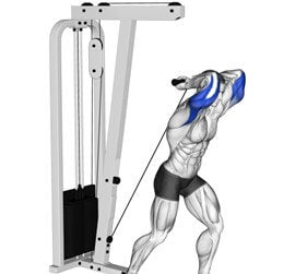 cable overhead triceps extension