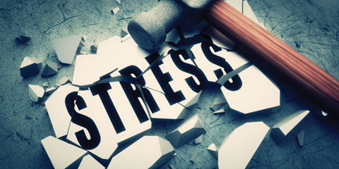 Stress slows muscle recovery and raises the catabolic hormone Cortisol