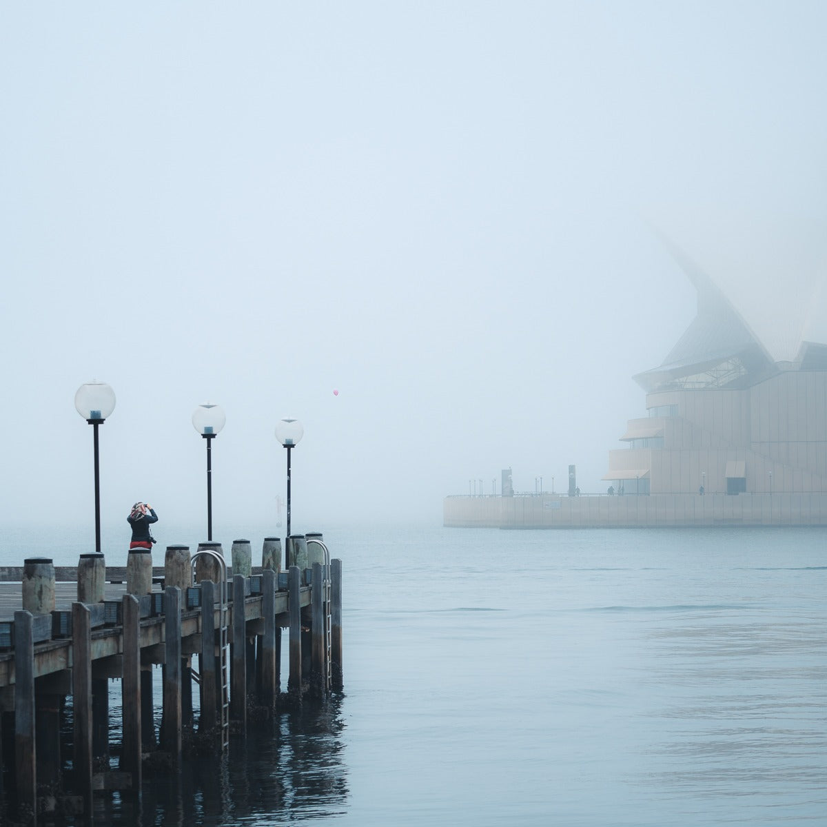 A foggy Sydney morning - Pat Kay